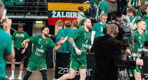 Brazdeikis