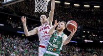 Brazdeikis