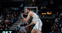 Brazdeikis