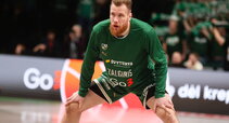 Brazdeikis