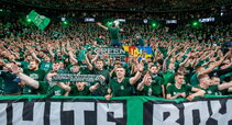 Green White Boys