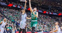 Brazdeikis