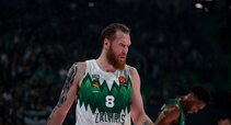 Brazdeikis