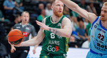 Brazdeikis