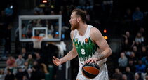 Brazdeikis