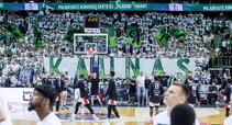 Green White Boys