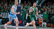 Brazdeikis