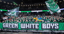 Green White Boys