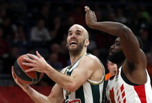 „Crvena Zvezda“ – „Panathinaikos“