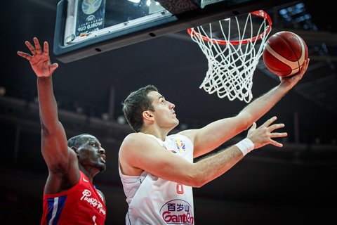 Bjelica