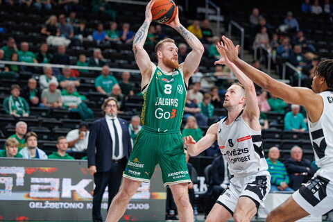 Brazdeikis