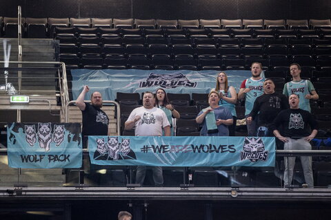 Wolves, sirgaliai