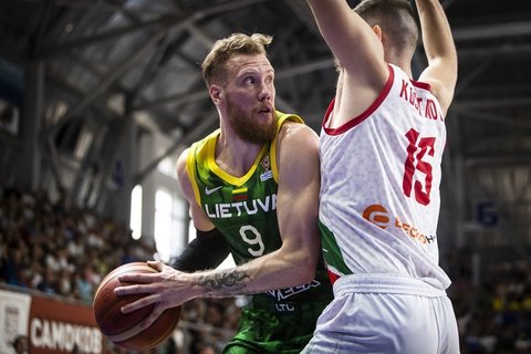 Brazdeikis