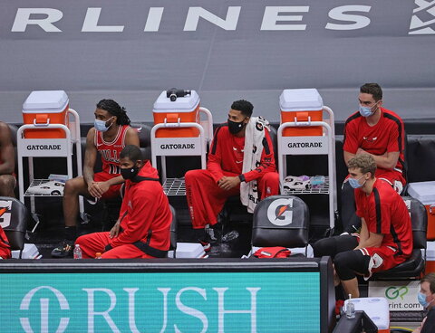 Bulls