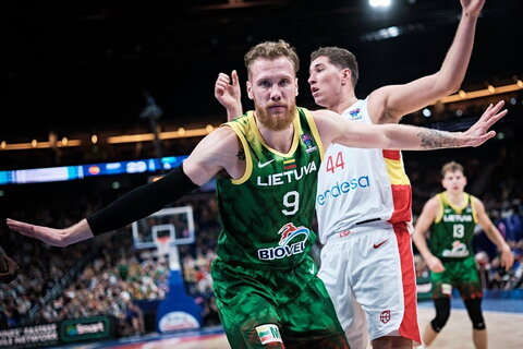 Brazdeikis