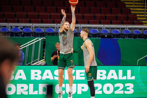 Brazdeikis