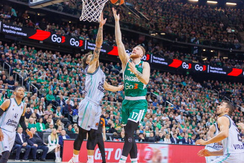 Brazdeikis