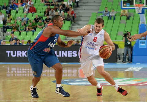 Bjelica