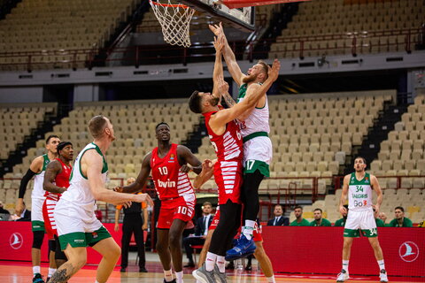 Brazdeikis