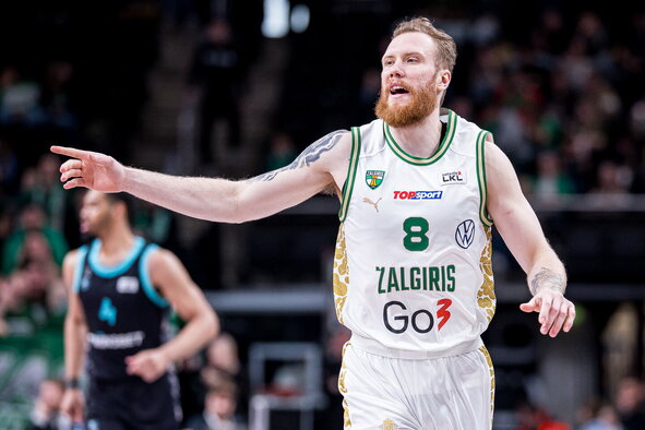 Brazdeikis