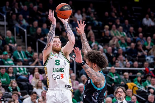 Brazdeikis