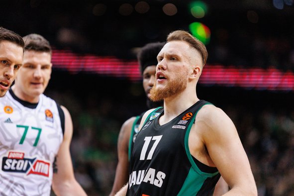 Brazdeikis