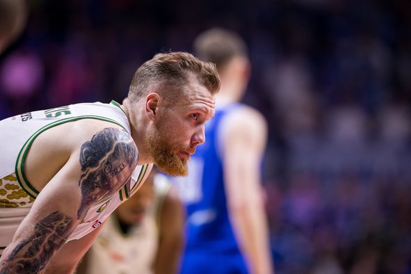 Brazdeikis