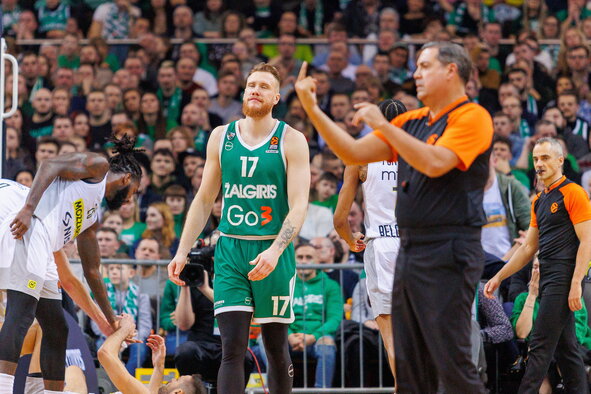 Brazdeikis