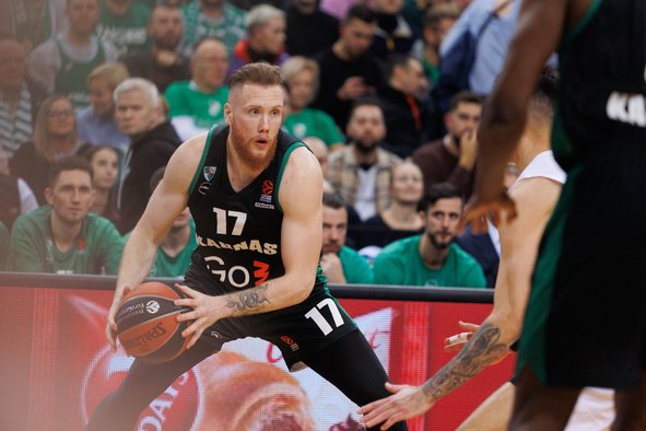 Brazdeikis