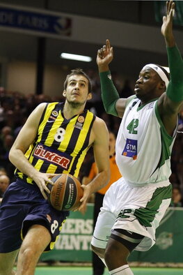 Bjelica