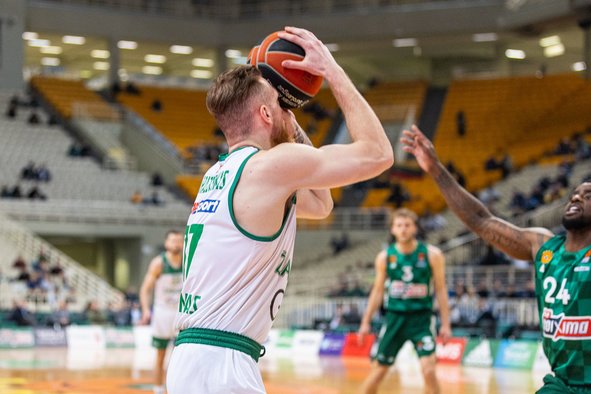 Brazdeikis