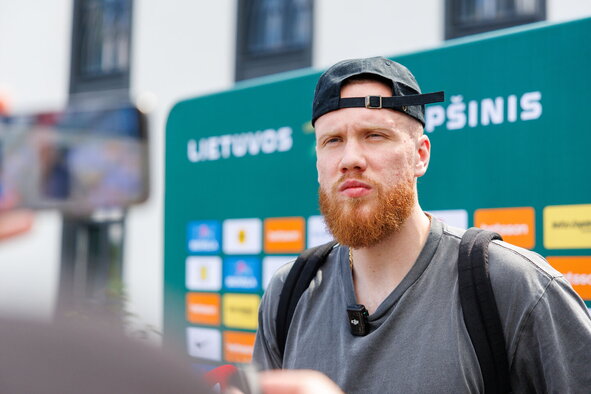 Brazdeikis