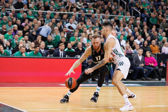 Brazdeikis