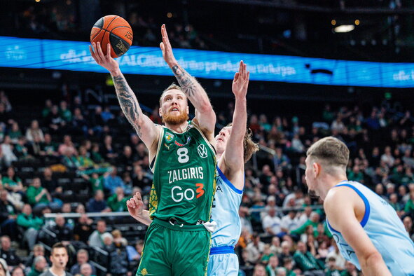Brazdeikis