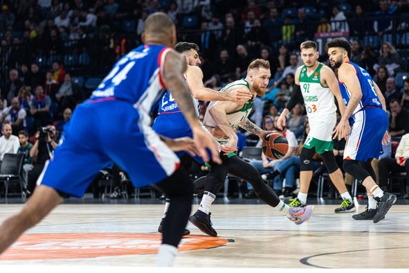 Brazdeikis