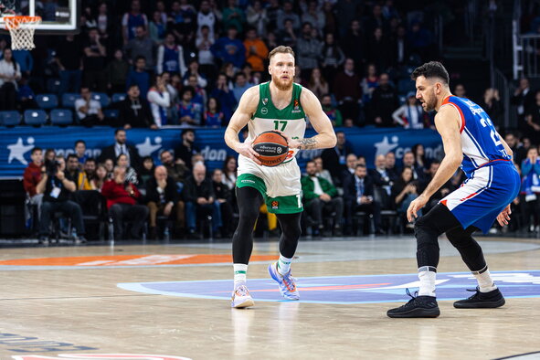 Brazdeikis