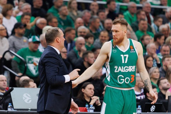Brazdeikis