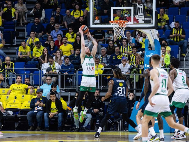 Brazdeikis
