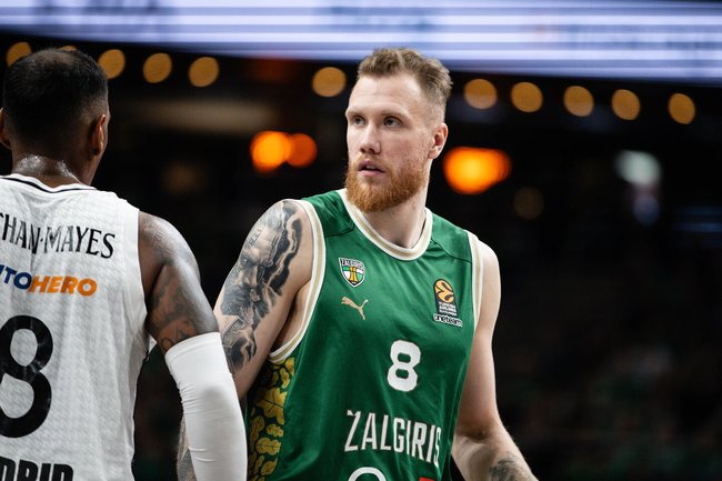 Brazdeikis