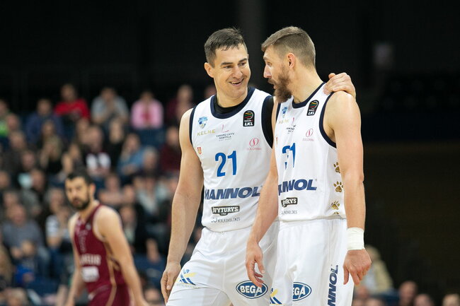 Galdikas, Gailius