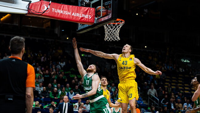 Brazdeikis