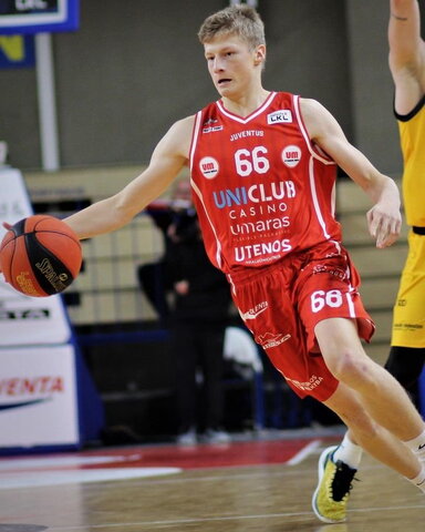Didžgalvis