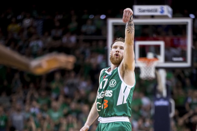 Brazdeikis