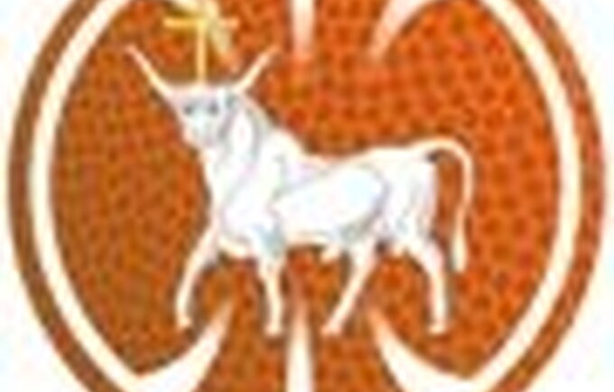 kauno baltai logo 12