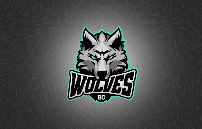 „Wolves“ atskleidė savo spalvas