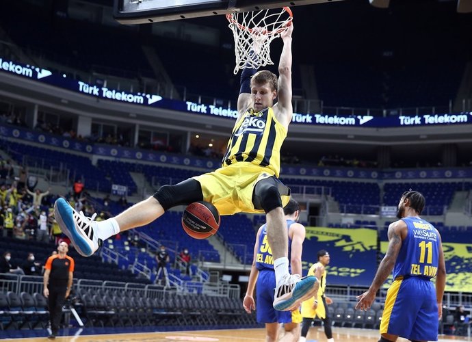 J.Vesely surinko 29 naudingumo balus
