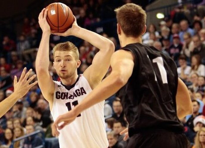 D.Sabonis surinko puikų dvigubą dublį (Scanpix nuotr.)