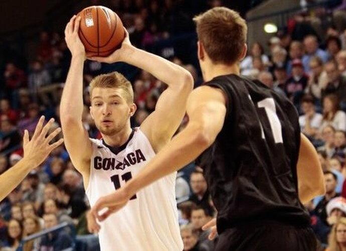 D.Sabonis atkovojo 13 kamuolių (Scanpix nuotr.)