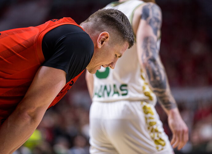 Gudaitis (Foto: Rokas Lukoševičius)