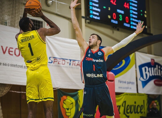 D.Tarolis dar gali žengti į kitą etapą (FIBA Europe nuotr.)